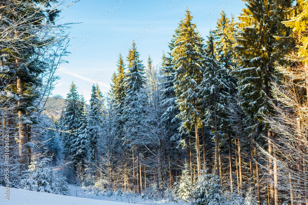 View of beautiful snowy mountains, forests View of beautiful snowy mountains, forests