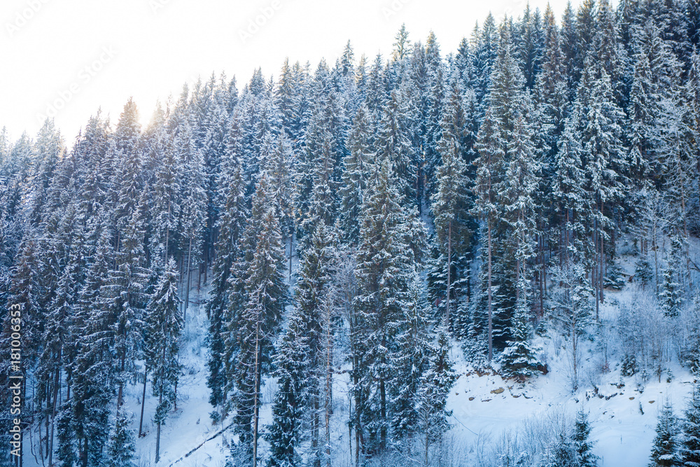 View of beautiful snowy mountains, forests