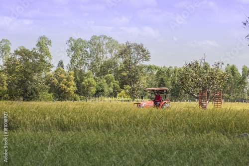 The truck tailer in rice field photo