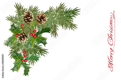 Pine cones, a Christmas tree, a branch of mistletoe, a garland. Decorative element, frames, cards for Christmas and New Year. Vectors.