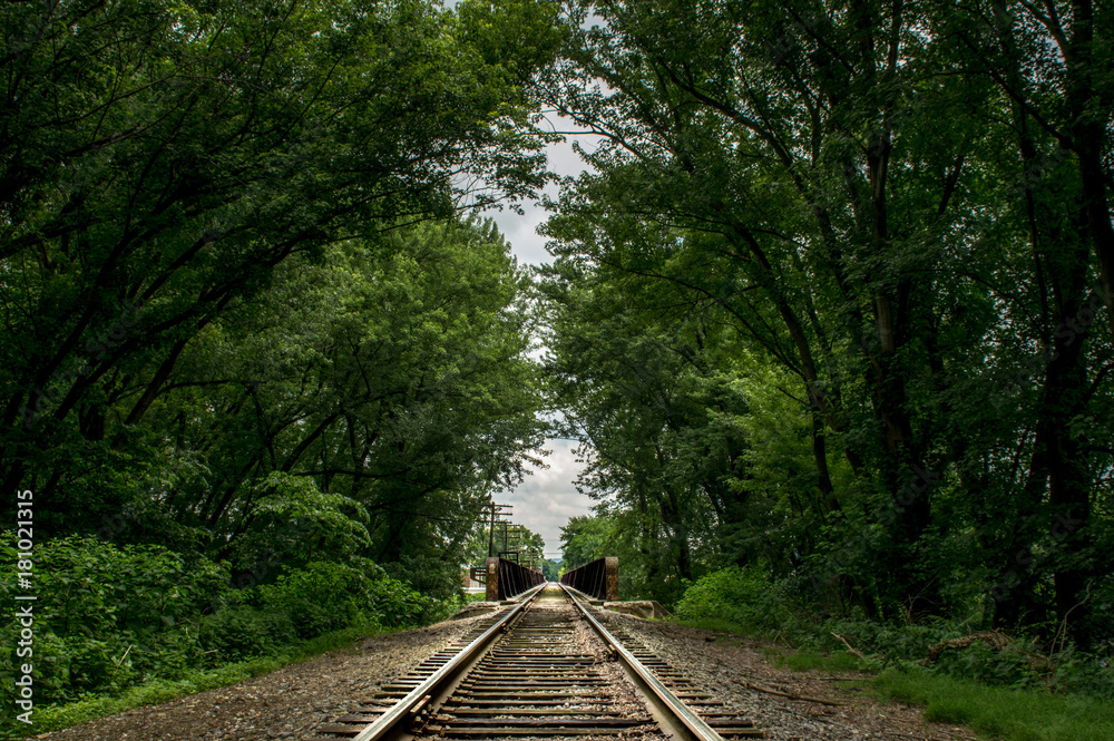 Obraz premium Railroad Tracks in the Forest