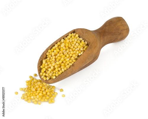 millet isolated