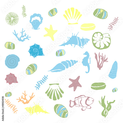 Colorfull sketch of shells, corals, sea stones on an isolated background. 
