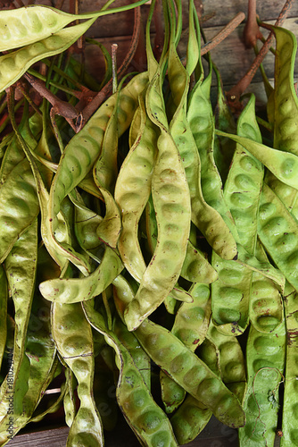 Bitter bean