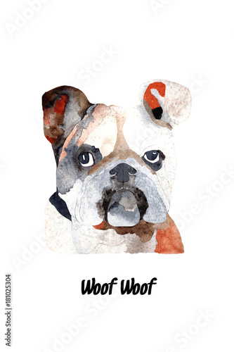 A water colored bulldog isolated on the white background.