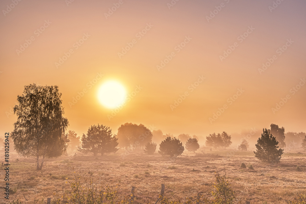 A wonderful sunrise with sunshine and fog in a heath landscape