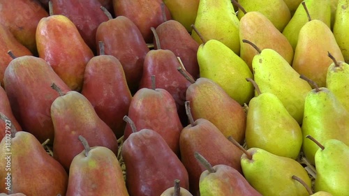 Pear variety Williams Pyrus communis, very old summer variety, suitable for compote, burning and direct consumption, very nice, exhibition of core and fruits from Europ photo