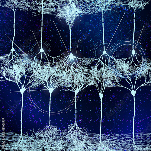 neuron cells forming net