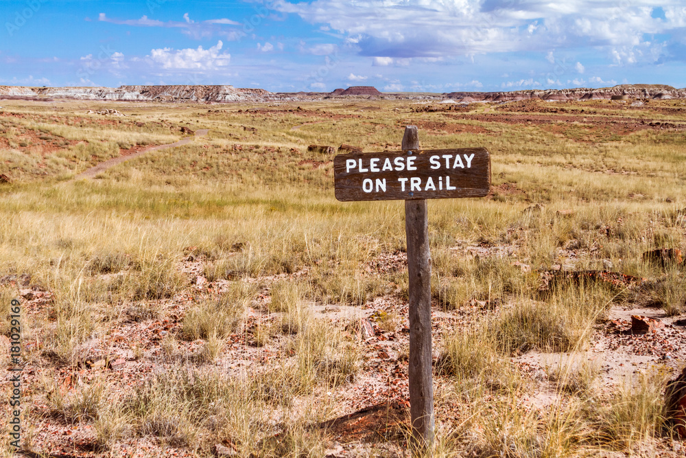 Please stay on Trail Wooden Sign in the Desert