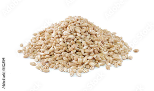 pearls barley grain seed on background