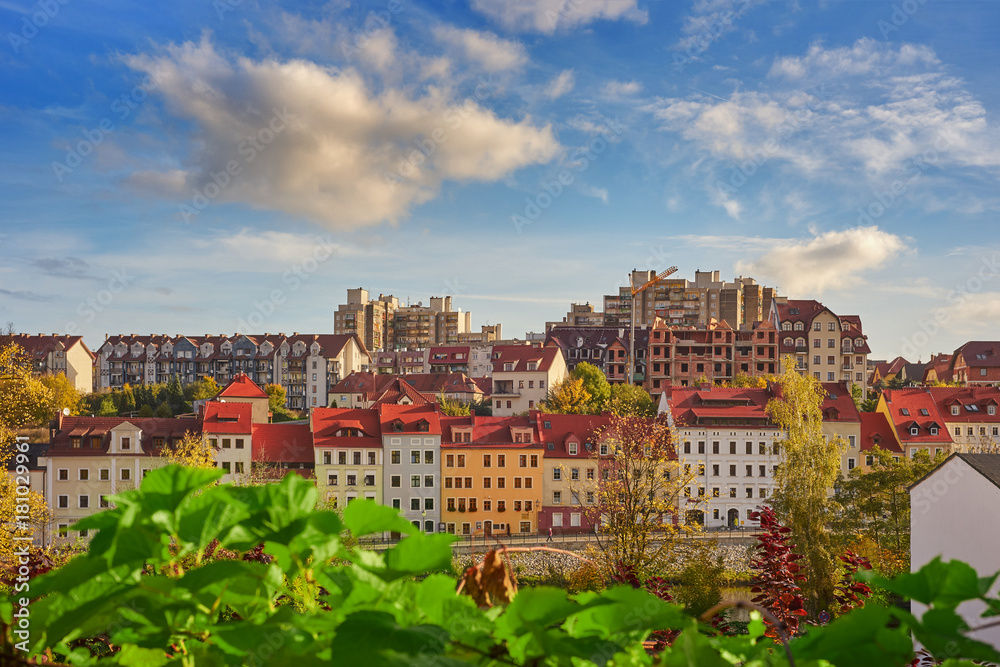 View of colorful townhouses and other buildings of the city. In the foreground, the blurred green leaves of the vine