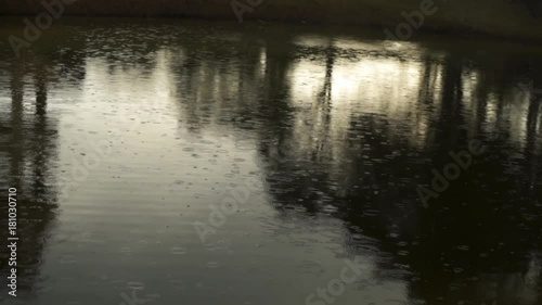 Rain drops on the lake surface pouring rain summer day