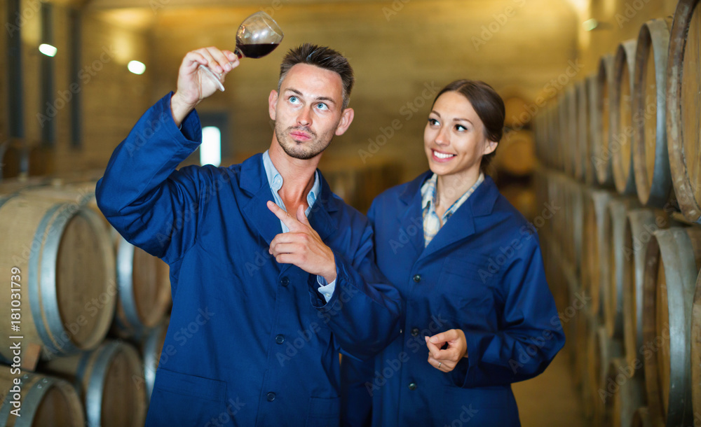 Portrait of young man and woman  holding glass of wine in winery