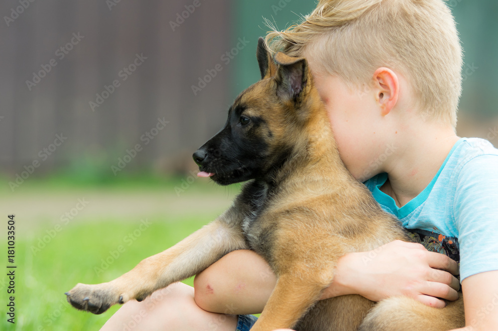 Kind mit Malinois Schäferhund Welpen im Arm