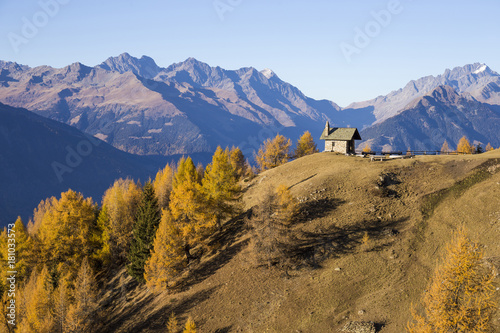 Tableau sur toile Autumn landscape in Valtellina in Italy.