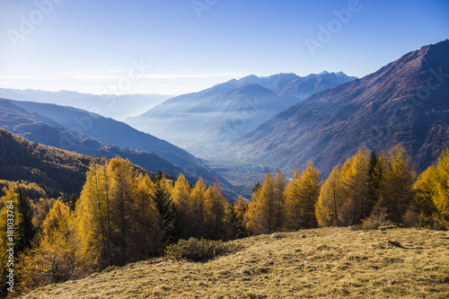 Autumn landscape in Valtellina in Italy. photo