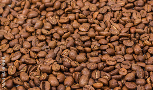 Coffee texture. coffee beans as background wallpaper. arabica cofee bean