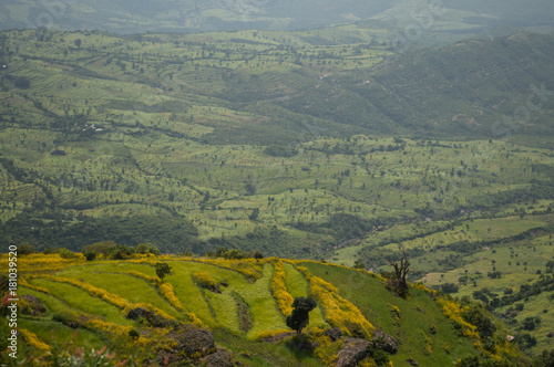 Ethiopian Countryside Landscape with Canyon in the Amhara Region