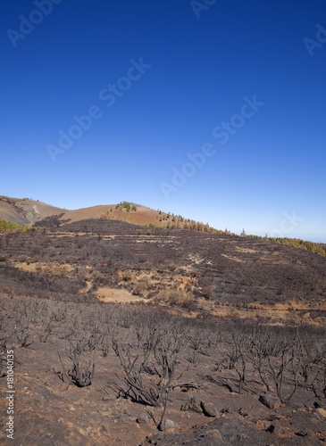 Gran Canaria after, October 2017 photo