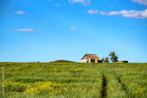 Old lonely house in the field on sunny day