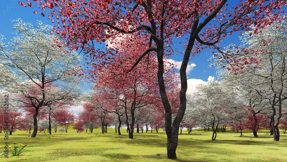 Naklejka premium Flowering dogwood trees in orchard in spring time 3d rendering