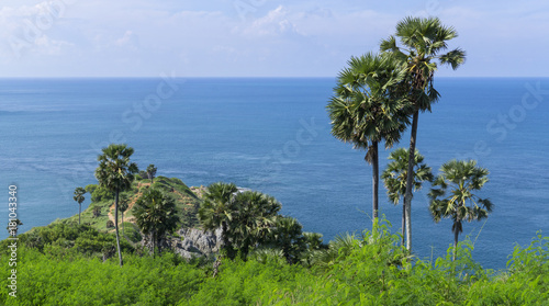 View of the sea, coconut palm, cliff, sunny day © Wire_man