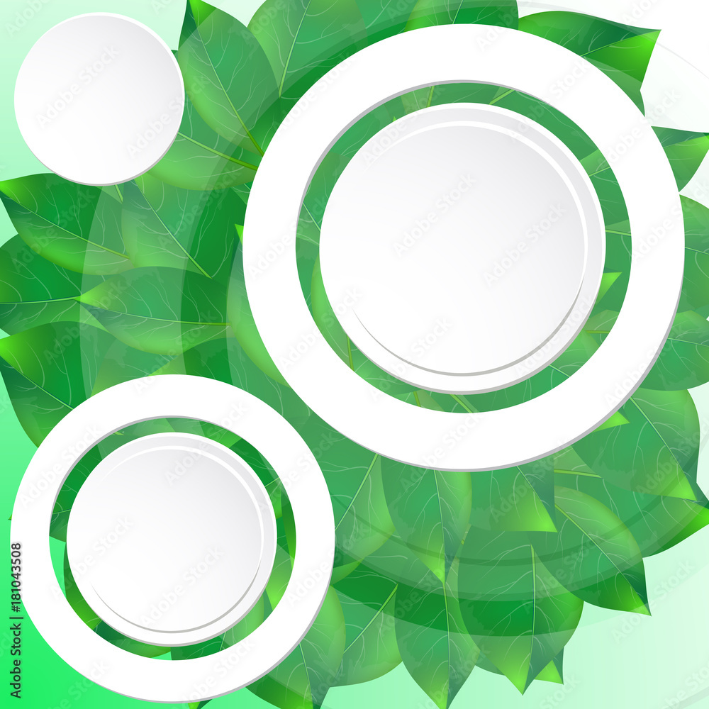 vector illustration of green leaves and white frames vector illustration of green leaves and white frames