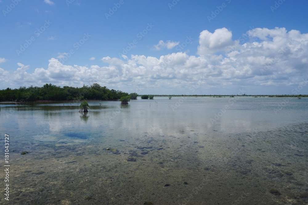 Langue mit Mangroven und Flamingos in Santa Lucia, Kuba, Karibik 