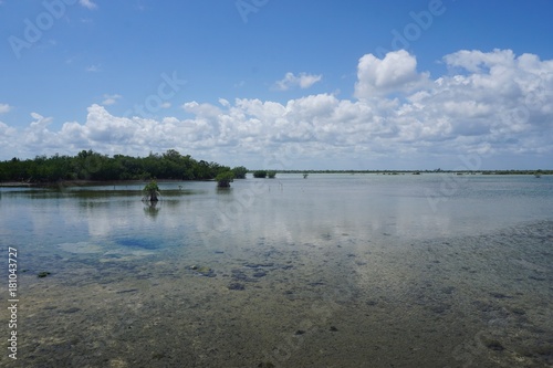Langue mit Mangroven und Flamingos in Santa Lucia  Kuba  Karibik 