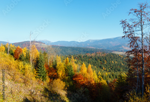 Morning autumn Carpathians landscape.