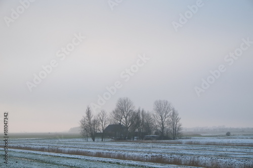 Wallpaper Mural Bauernhaus auf der Halbinsel Eiderstedt an der Nordsee Torontodigital.ca