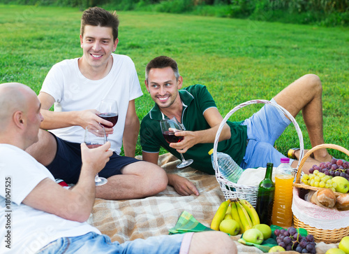 Males friends enjoying picnic © JackF