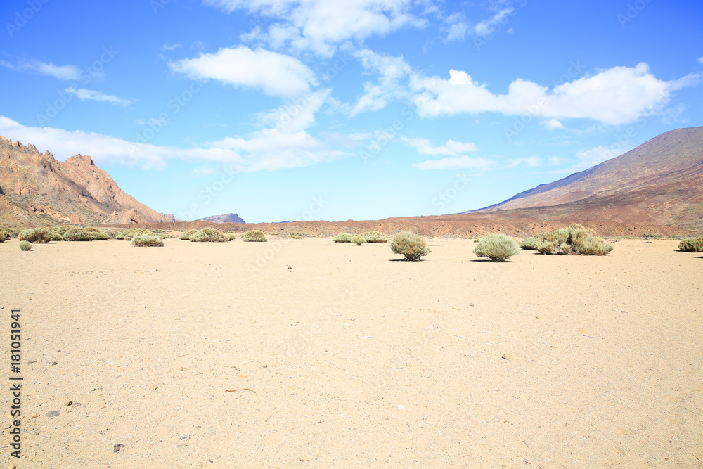 Desert in the Teide National Park on Tenerife Island, Canary Islands, Spain