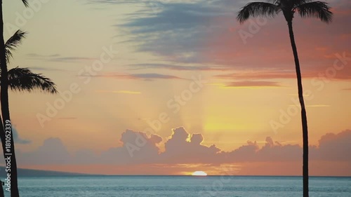 tropical palm trees on the ocean shore at sunset near resort hyatt on island maui,hawaii photo