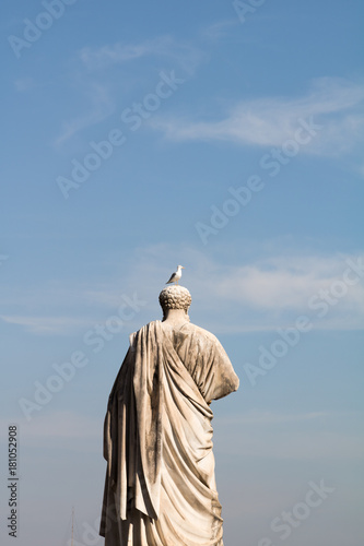 Seagull at Vatican Square © SD Fotografie