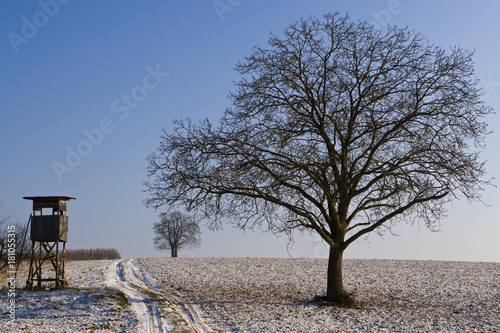 Winterlandschaft mit Jägerstand und Baum photo