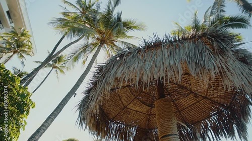 beautiful picture of the top of palmas umbrella on resort hyatt ,maui,hawaii