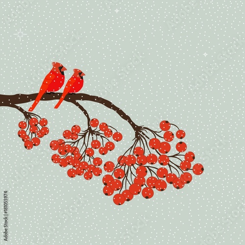 Two red birds cardinal on branch with berries