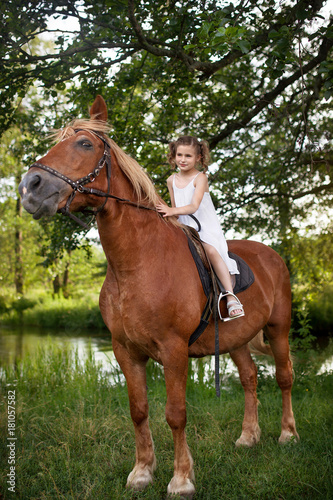 Llittle girl is riding a horse. Summer meadow.