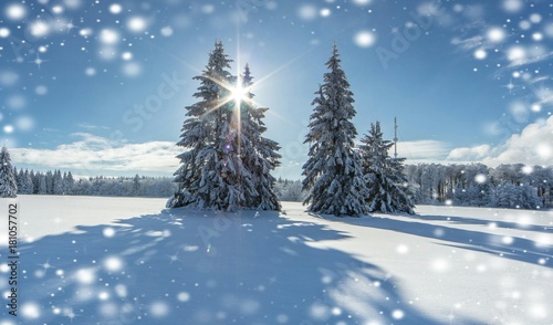 winterlandschaft photo