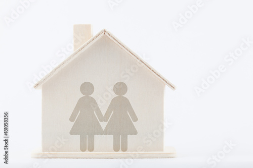 Family diversity concept: Two women couple at home