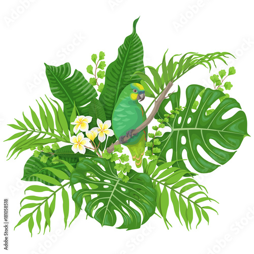Green Parrot and Tropical Plants