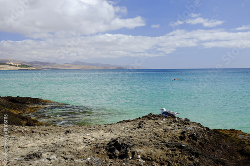 Beach Costa Calma on Fuerteventura  Spain.