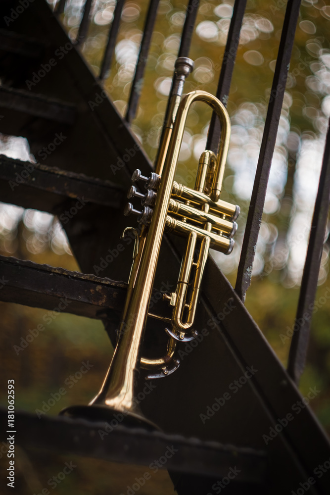 Fototapeta premium Jazz Trumpet Nature