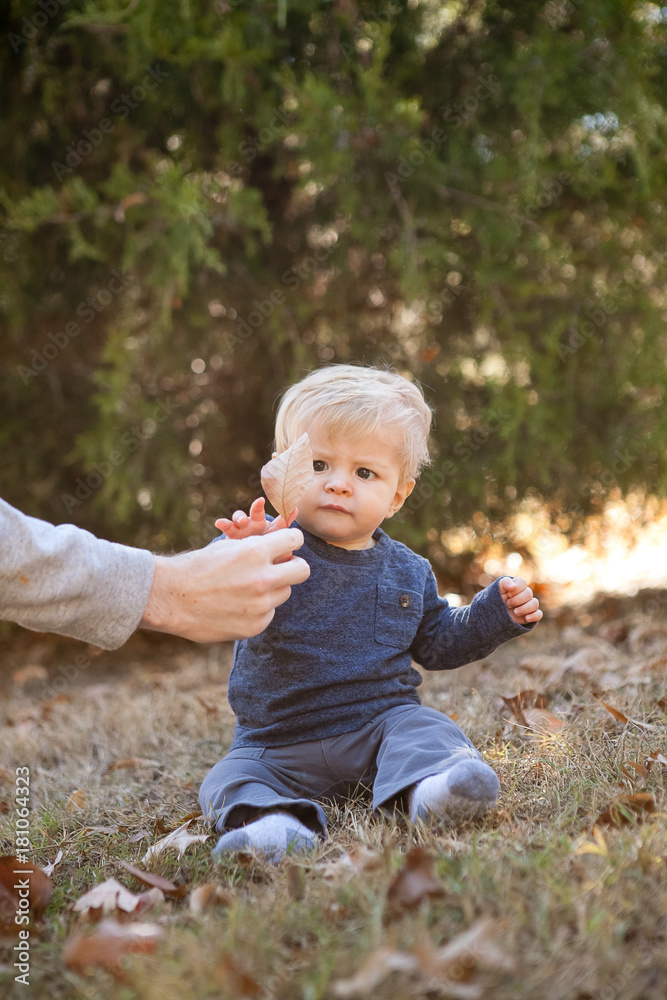 Curious little blond boy being handed a leaf sitting ins park in the fall.