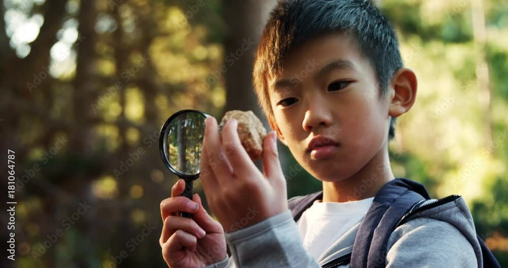 Kid examining a rock in the forest Kid examining a rock in the forest