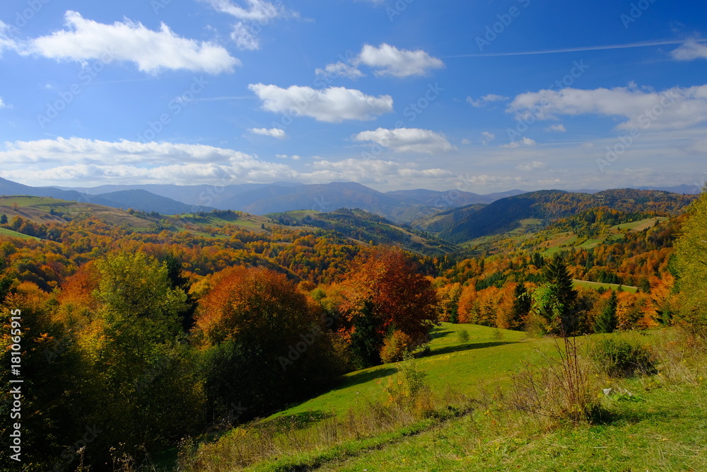 Fototapeta premium Autumn mountain landscape in Carpathian mountains, Ukraine, Europe