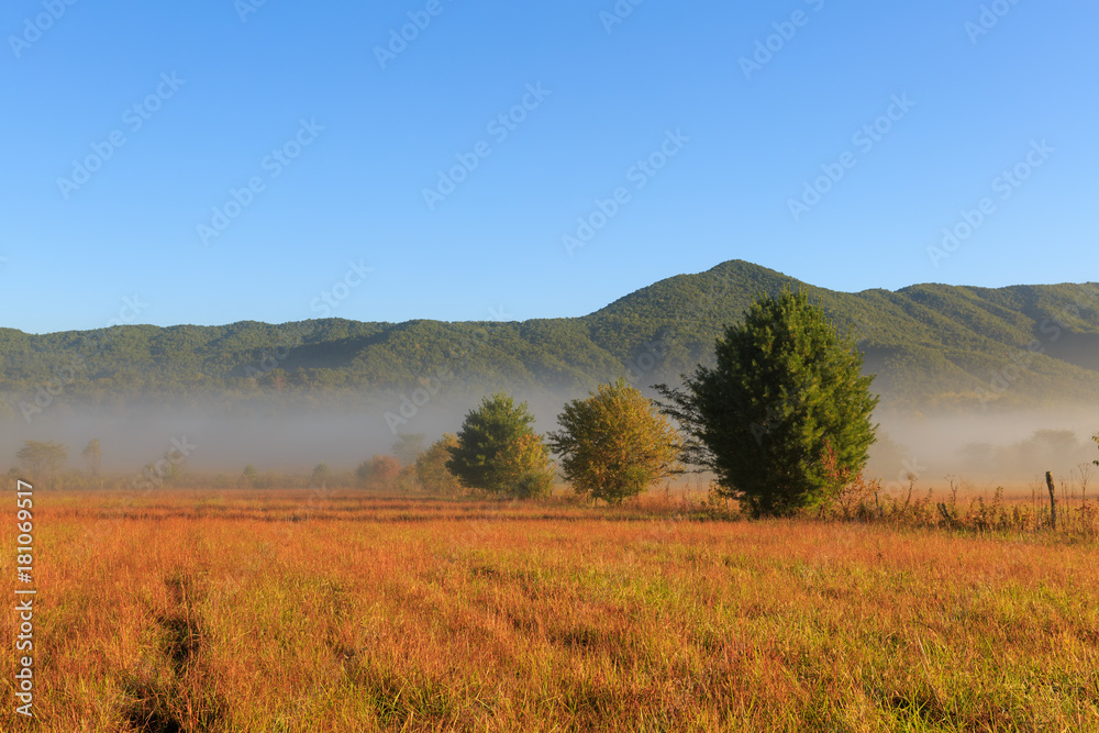 Fototapeta premium The morning fog rolls through Cades Cove Loop in Great Smoky Mountains National Park