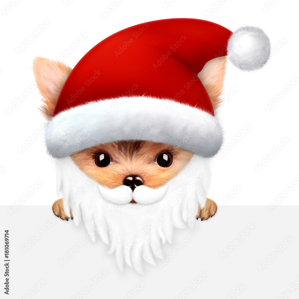 Naklejka premium Funny Dog Santa with beard. Christmas concept