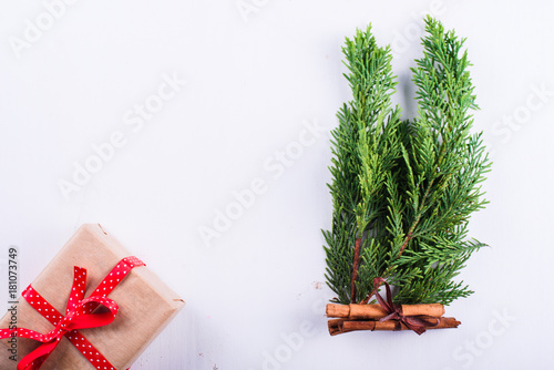 Gift, cinnamon and green branch of spruce isolated on white background photo